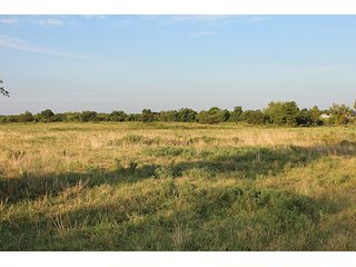 Tract 13 - LAND AUCTION - 440+/- Acres offered in 15 Tracts in Tulsa County